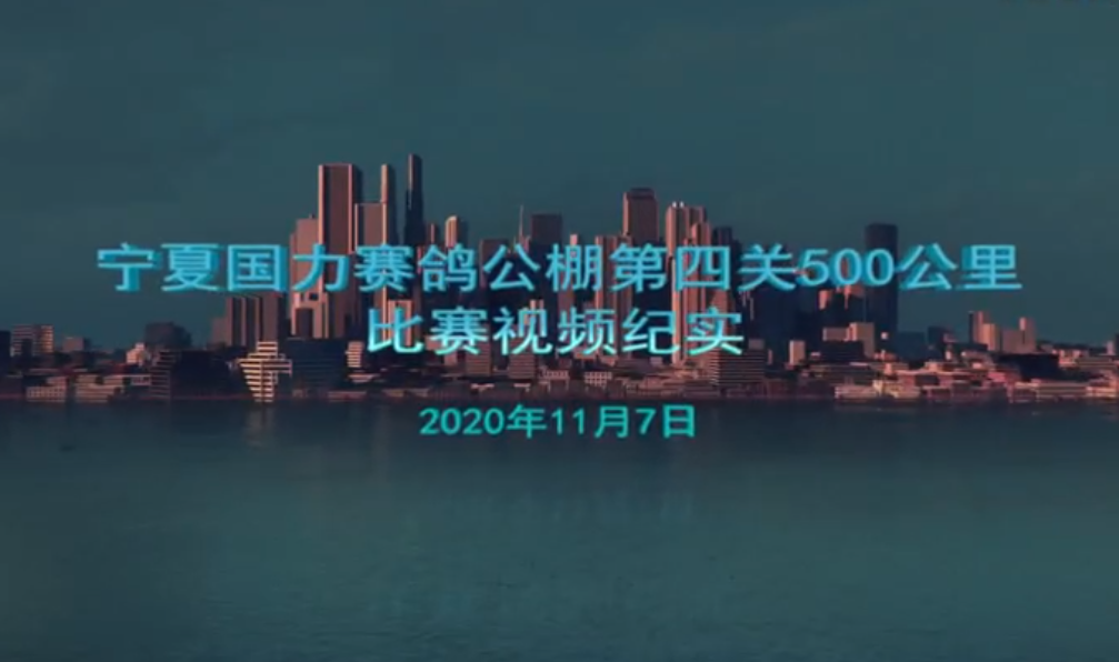 宁夏国力公棚第四关500公里比赛视频纪实 