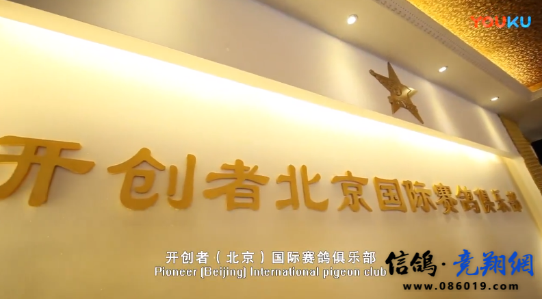  北京开创者赛鸽俱乐部宣传视频