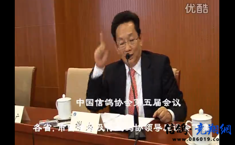 中国信鸽协会第五届讨论下集