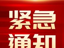 北京市海淀区信鸽协会 2023年春季训放比赛计划